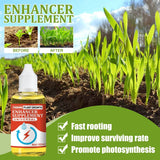 Plant Growth Enhancer Supplement